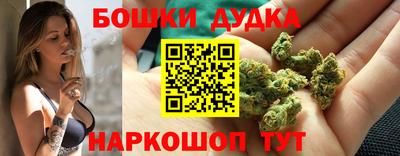 крисы Краснодар