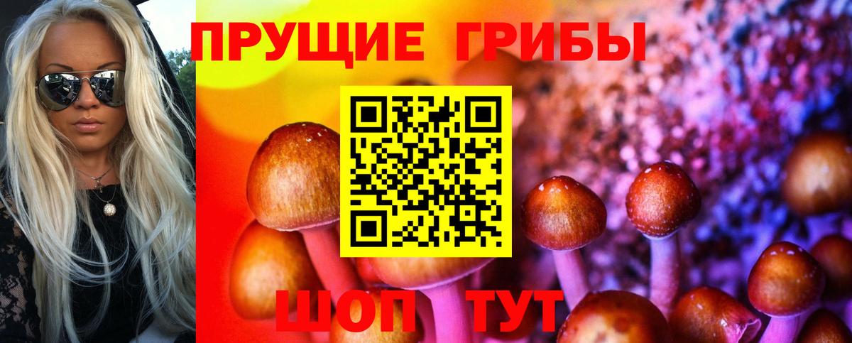 Галлюциногенные грибы MAGIC MUSHROOMS  Галлюциногенные грибы мухоморы  Каменка  Вход с VPN 