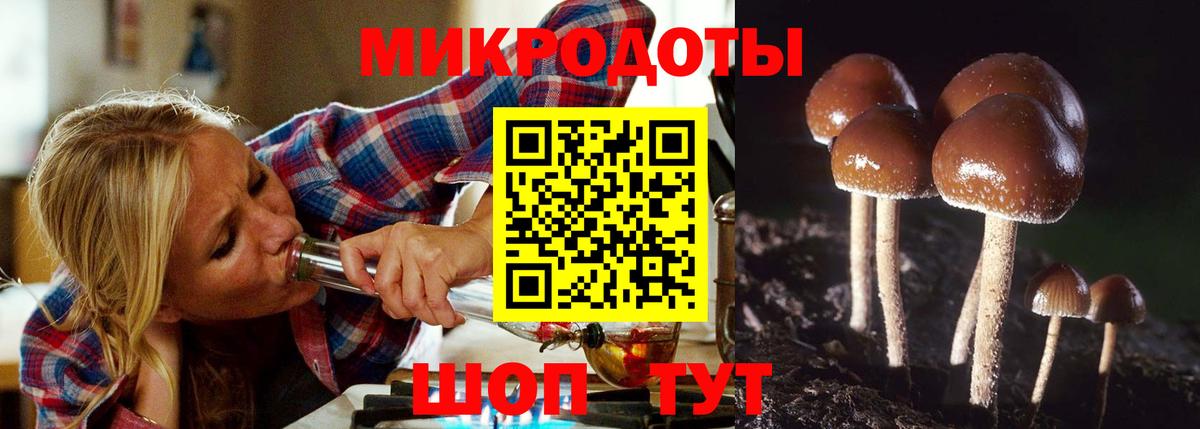 Псилоцибиновые грибы MAGIC MUSHROOMS Каменка