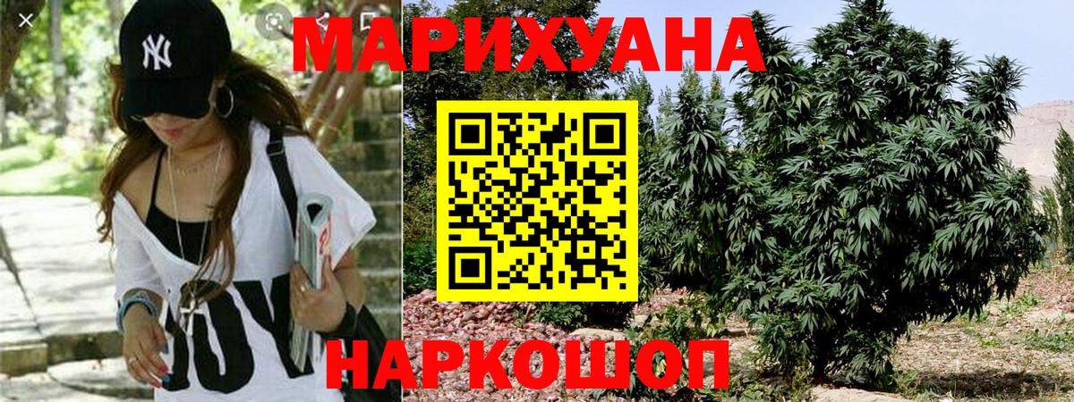 Конопля OG Kush  Бошки Шишки SATIVA & INDICA  Вход с VPN  Каменка  Каннабис марихуана  Марихуана OG Kush 